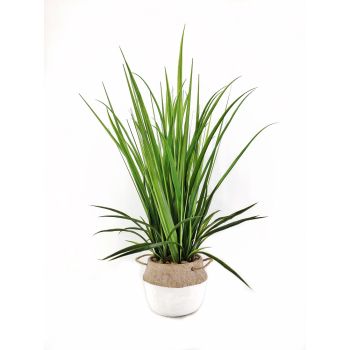 Artificial Grass in Cement Pot 76cm