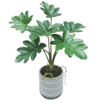 Artificial Philodendron In Ceramic Pot 7x31cm