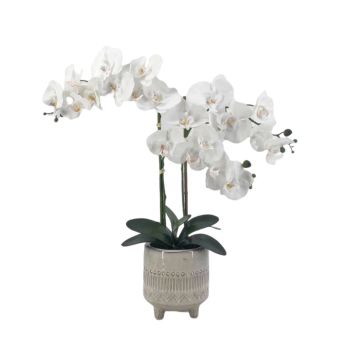 Artificial Orchid in Ceramic Pot 58cm