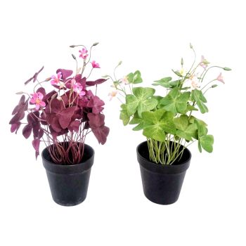 Set 2 Artificial Oxalis Triangularis Plant In Plastic Pot 10x35cm