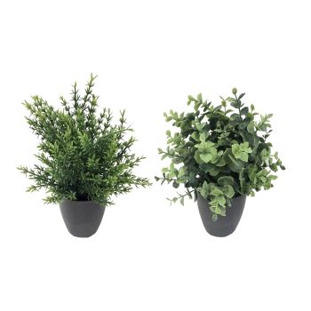 Set 2 Artificial Grass in Pot Assort 25cm