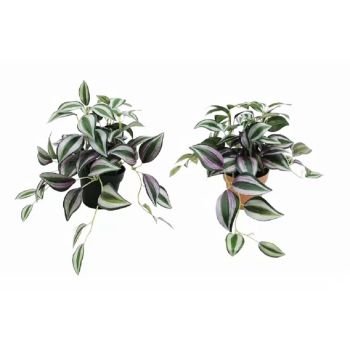 Set 2 Artificial Inch Plant in Pot Assorted 23cm