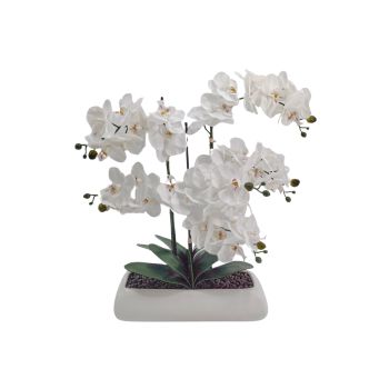 White Orchid In Rectangle Ceramic Pot 56x61cm