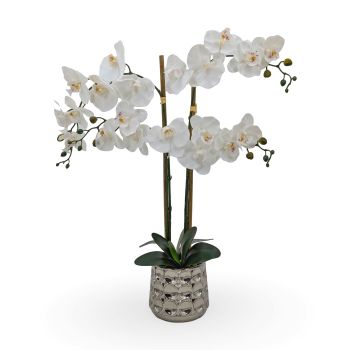 Artificial Orchids in Chrome Pot 71cm