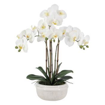 Real Touch Artificial Orchid in Ceramic Pot 57cm