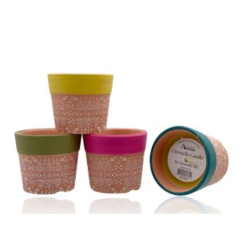 bulk 24 Citronella Candle in Terracotta Pot Assort 7cm