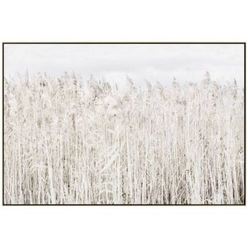 Pampas Grass Framed Canvas Wall Art 120cm