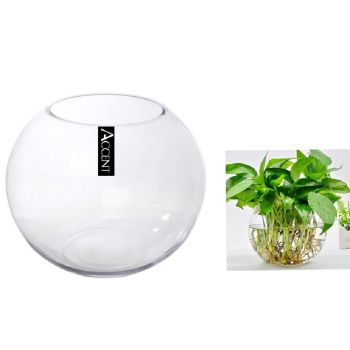 Glass Rose Fish Bowl 19x17cm