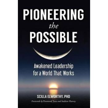 Pioneering the Possible: Awakened Leadership for a