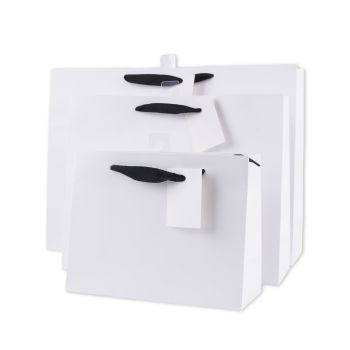 bulk 24 Xlarge Landscape Gift Bags w Handle 31x42cm