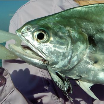 The Performer Gift Set