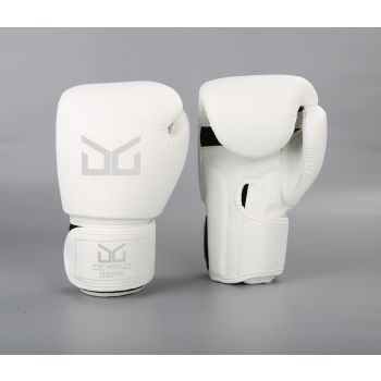 Boxing Gloves 12Oz JAB Series I