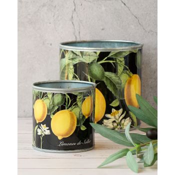 tin-planter-lemons-set-of-4
