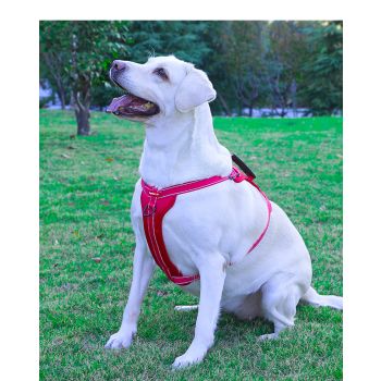 Reflective Dog Harness with Leash, No-Pull Vest Harness for Dogs, Adjustable Dog Vest with Handle, Walking Training Pet Harness xs size