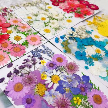 Pressed Dried Flower Craft Kit - Mixed Color Floral Collection for DIY Projects(A22 Blue)