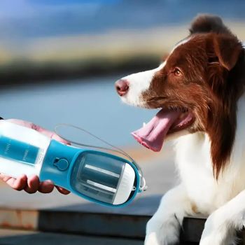 Gray 3-in-1 Portable Pet Water Bottle with Food Storage and Waste Bag Dispenser - 300mL Capacity