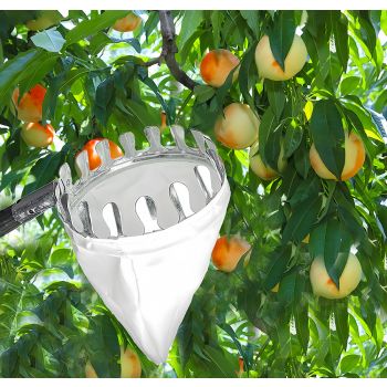 Telescoping Fruit Picker - Apple, Peach, Persimmon Harvesting Tool with Collection Bag, High Reach Fruit Catcher 2m