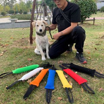 Red Durable 2-Pack Tug-of-War Dog Training Toy - Tear-Resistant, Safe & Interactive for All Breeds