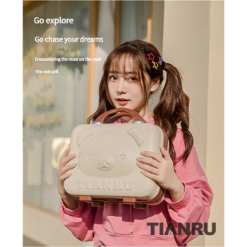 Cute Bear Face Hard-Shell Storage Case with Lock - 14-Inch grey Travel Organizer