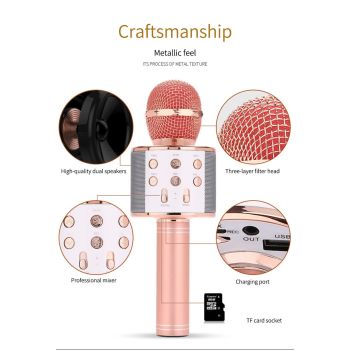 Rose red Bluetooth 5.0 Karaoke Microphone for Family Entertainment