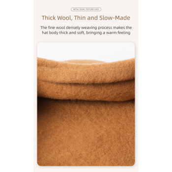 Brown Elegant Wool Beret - Classic Warm Thick British Style Hat for Autumn & Winter