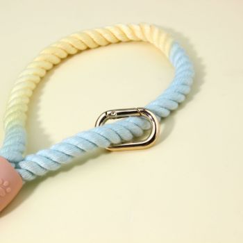 Colorful Vibrant Rainbow Ombre Rope Dog Leash - Durable Nylon P-Chain Slip Lead for Small & Medium Breeds