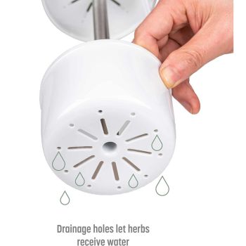 Green Premium Herb Savor & Freshness Keeper - Extends Life of Herbs, Cilantro, Parsley & More