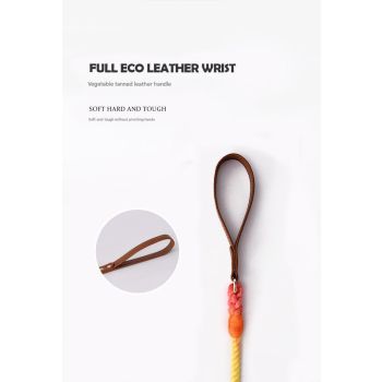 Premium Leather Pet Collar and Leash - Soft, Strong Braided Rope (Wine red - Size L)