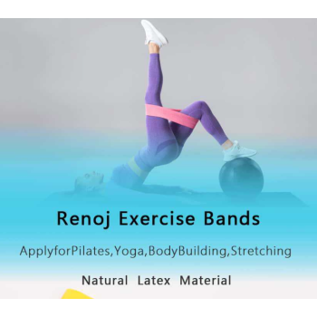 Multicolor 10 Pieces of 2 Sets Premium Resistance Loop Bands - Fitness Exercise Bands for Legs, Glutes, and Strength Training with Carry Bag