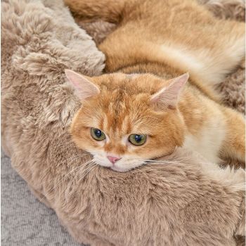 Brown Bubble Plush Pet Sofa Bed with Removable Cushion S Size 60*45*23CM – Ultra-Soft Winter Thickened Warm Pet Nest with Raised Bolster Edges, Washable Plush Cover and Non-Slip Base, Cozy and Soft Sleeping Space for Dog & Cat Home Use 