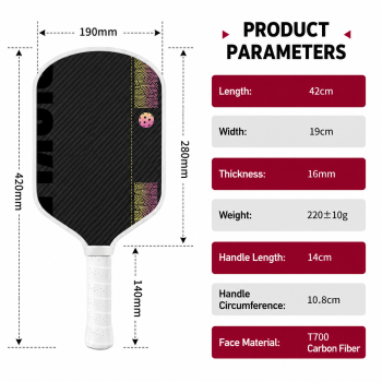 Black and Blue T700 Raw Carbon Fiber Pickleball Paddle Set - 2 Professional Honeycomb Core Paddles, 4 Balls and Carry Bag for Outdoor Use