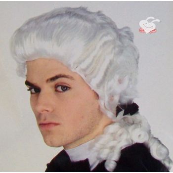 White Judge Wig Colonial Wig Lawyer Dress Costume Halloween Fancy Party wig