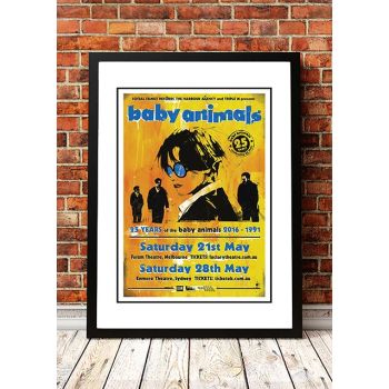 Baby Animals ’25 Years’ Sydney / Melbourne, Australia 2016 Tour Poster - Framed A4