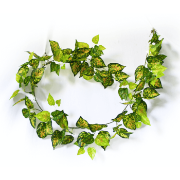 Mixed Yellow and Red Pothos Garland 190cm