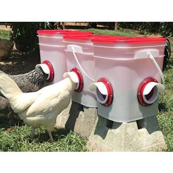 Cheeky Chooka DIY Poultry Feeder Port 4pk