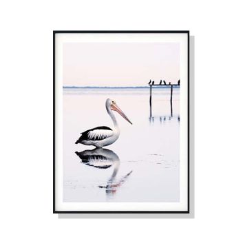 Wall Art 60cmx90cm Pelican Black Frame Canvas