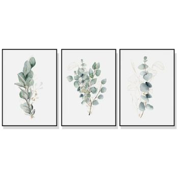 Wall Art 40cmx60cm Eucalyptus Plant  3 Sets Black Frame Canvas