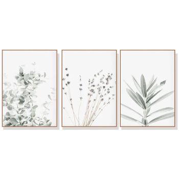 Wall Art 70cmx100cm Lavender Eucalyptus 3 Sets Wood Frame Canvas