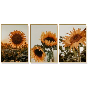 Wall Art 80cmx120cm Sunflower 3 Sets Gold Frame Canvas