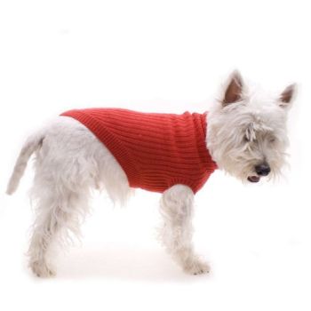 Red Dog Jumper 35cm