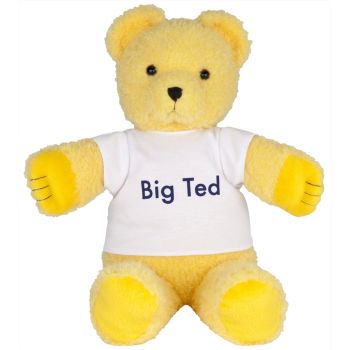 Play School - Big Ted Plush