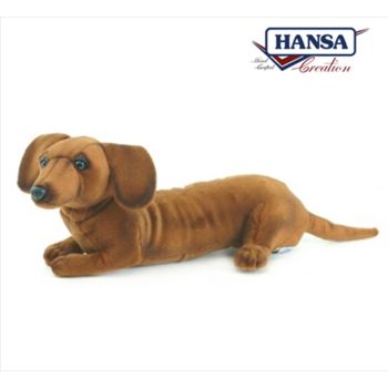 Dachshund Pup 40cm