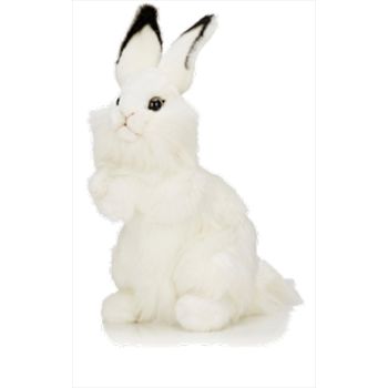 White Rabbit 32cm H