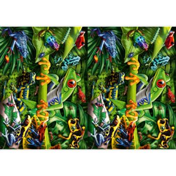 Amazing Amphibians 35 Piece Puzzle