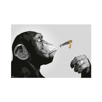 Steez Smoking Chimp Poster