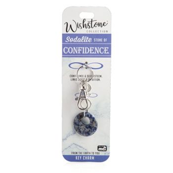 Sodalite Key Charm