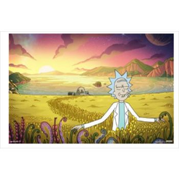 Rick And Morty Freedom