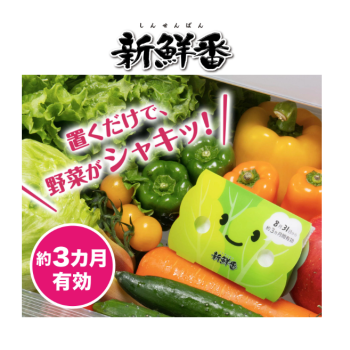 [6-PACK] S.T. Japan Refrigerate Vegetables for Long-term Preservation