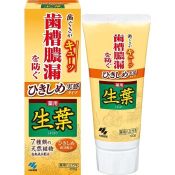 [6-PACK] KOBAYASHI Japan Toothpaste Fresh Leaves Tightening Real Type 100g