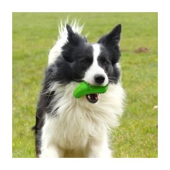 Major Dog Zucchini Treat Toy